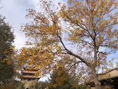 -嘉峪关关城