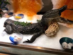 -鸿腾国际大酒店-海鲜姿造海鲜烤肉自助餐