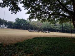 -广州雕塑公园