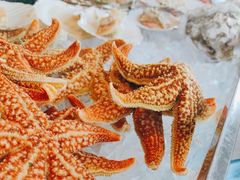 -万达文华酒店·48F云端窗景美食汇自助餐厅