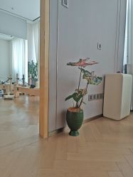-慢脚印孕产中心(园区国金店)