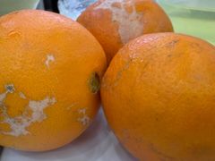 -丹水桥地锅鱼·翘嘴鲌·地方特色全鱼宴(丹江口大坝店)