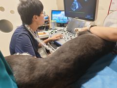 -美迦爱-牙专科·兔科·骨科诊疗中心(北苑店)