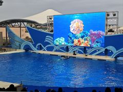 -上海海昌海洋公园