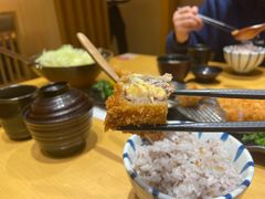 -胜博殿日式炸猪排(西红门店)