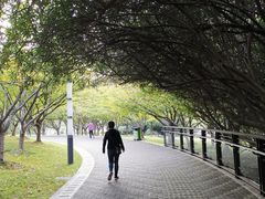 -苏州河梦清园环保主题公园