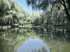 -洛阳市隋唐城遗址植物园