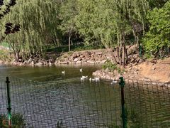 -北京张裕爱斐堡酒庄