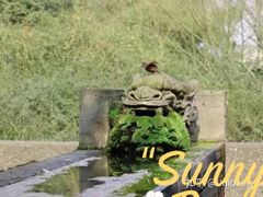 -鹿野苑石刻艺术博物馆