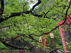 -洛阳白云山景区