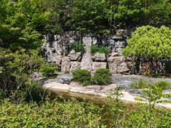 -吴淞炮台湾湿地森林公园烧烤区