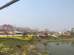 -南通鲜花小镇