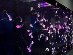 -海合安青岛极地海洋公园