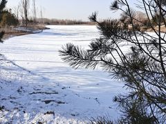 -东郊湿地公园