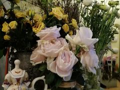 -Jo's Garden