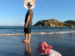 -汕尾风车岛