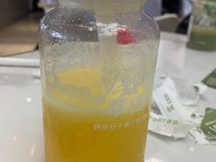 -野萃山·潮汕厚果汁(十亩地店)