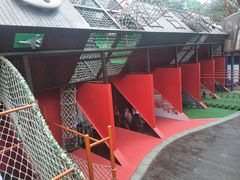 -中国福利会少年宫