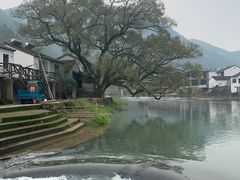 -鹿亭中村