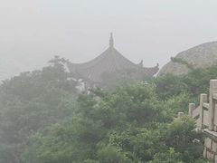 -洋山深水港