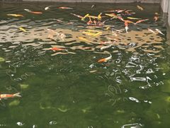 -绳金塔
