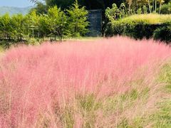 -宁波浙东大竹海景区