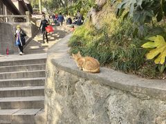 -狼山风景名胜区