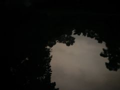 -火炉山森林公园