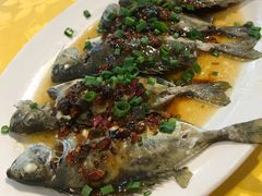 -老字号蛇口德记烧腊饭店·海鲜加工