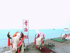 -青海湖国家重点风景名胜区