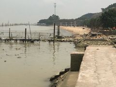 -南沙蒲洲花园