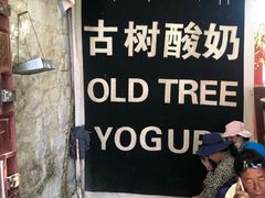 -古树酸奶(八廓南街店)