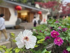 -龙华寺