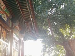-管氏翅吧(地安门店)