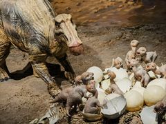 -自贡恐龙博物馆