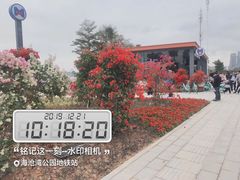 -海沧湾公园