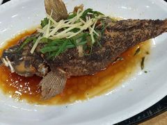 -百丈园龙江啫神馆