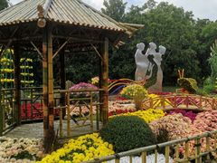 -上海共青森林公园