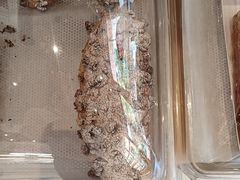 -85度C(生甜甜圈研究工坊·上海局门店)