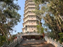 -深圳国际园林花卉博览园