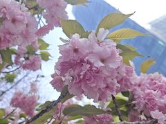 -好世界商业广场(北京国际中心店)