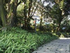 -成都市活水公园