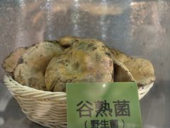 -菌海森林·非遗野生菌火锅(西山区滇池路摩根道店)