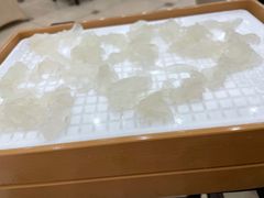 顺德鱼生-金瑞轩大酒楼·顺德鱼生·粤菜海鲜(东江国际店)
