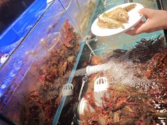-苏格里岛自助烤肉海鲜火锅(成都金牛万达店)