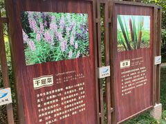 -长广溪湿地公园