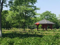 -合肥三国新城遗址公园