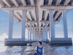 -宝安西湾红树林湿地公园