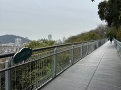 -佛山华盖山公园