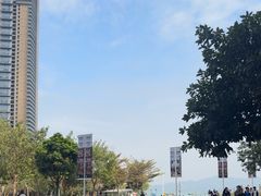 -SAANCI山池咖啡(海上世界文化艺术中心店)